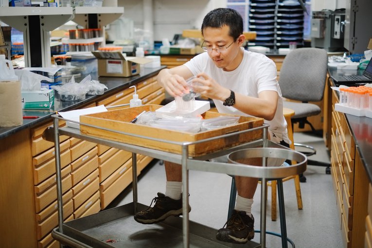 Lead researcher Huan Cui analyzing isotopes in the wet lab at the University of Wisconsin–Madison. Oxygen, carbon, strontium and sulfur isotopes during the Neoproterozoic reveal a step-wise pattern of atmospheric oxygen, crucial to the evolution of comple
