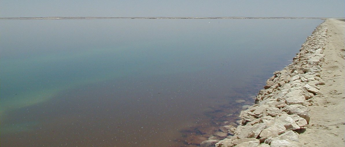 A hyperaline pond, (Area 6) in the Exportadora de Sal saltern system, Guerrero Negro, Baja California Sur, Mexico. Thick microbial mats line the bottom of this entire pond.