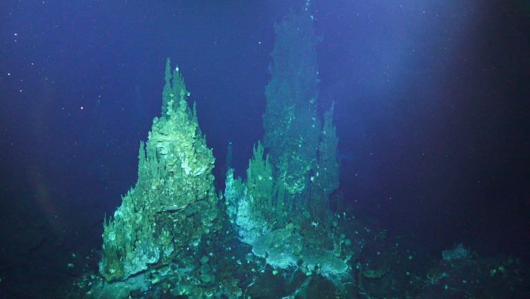 Source: Searching for Life in the Mariana Back-Arc / Schmidt Ocean Institute