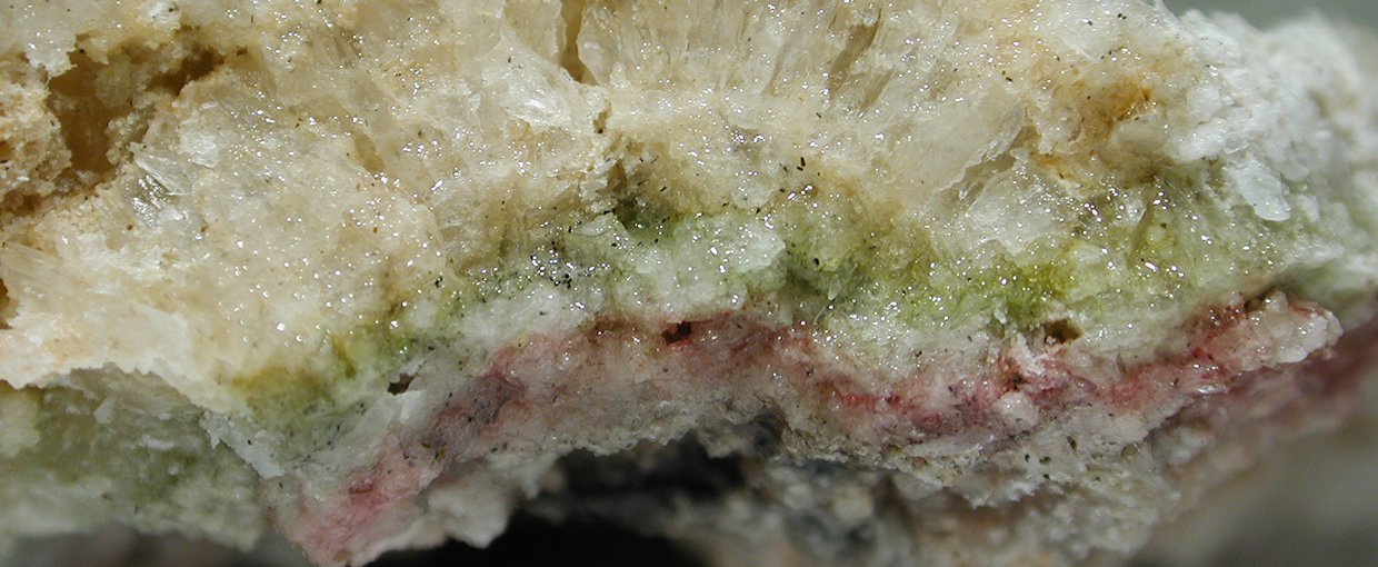 A laminated microbial community located within precipitated gypsum at Guerrero Negro, Baja California Sur, Mexico. The colored bands, and precipitated gypsum above them, are about 3 centimeters thick.