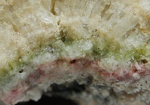 A laminated microbial community located within precipitated gypsum at Guerrero Negro, Baja California Sur, Mexico. The colored bands, and precipitated gypsum above them, are about 3 centimeters thick.