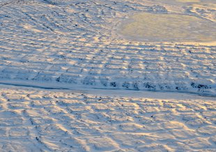 The entire image is filled with a white, snowy landscape with no horizon. Patters are seen in the snow, which are polygon-like indentations.