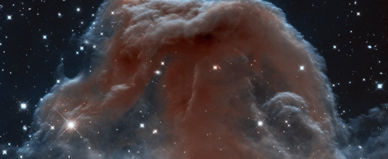 A close-up of one of the most famous dust clouds in our galaxy, the Horsehead Nebula. This infrared image was obtained by the Hubble Space Telescope in 2013.