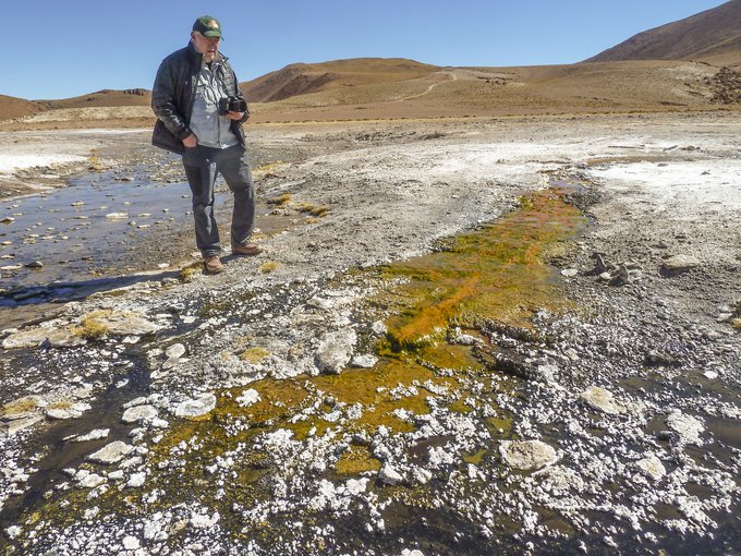 Astrobiologist Jack Farmer (Arizona State University) studies an outflow colored by microorganisms that flows from the hot springs at El Tatio in Chile.