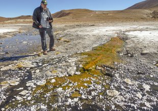 Astrobiologist Jack Farmer (Arizona State University) studies an outflow colored by microorganisms that flows from the hot springs at El Tatio in Chile.