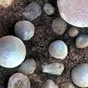 The small spherules on the Martian surface in this close-up image are near Fram Crater, visited by NASA's Mars Exploration Rover Opportunity during April 2004. These are examples of the mineral concretions nicknamed "blueberries."