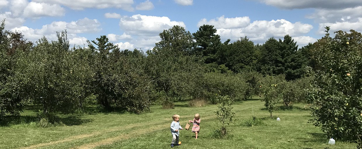 Children play in the wooded landscape near Decorah, Iowa.