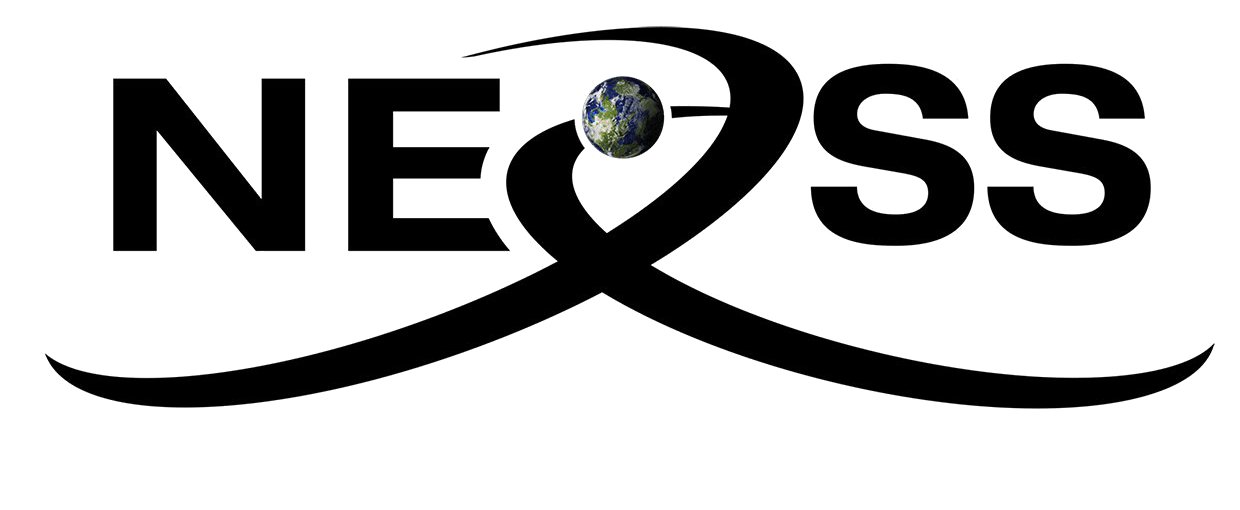 Logo of the Nexus for Exoplanet System Science (NExSS) on a white background.