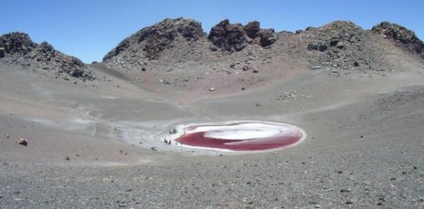 The red color of Aguas Calientes comes from algae, which must create their protection from the harsh ultraviolet radiation coming from the son. Credit: The High Lakes Project: The SETI Institute Carl Sagan Center/NASA Ames/ NAI