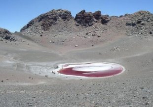 The red color of Aguas Calientes comes from algae, which must create their protection from the harsh ultraviolet radiation coming from the son. Credit: The High Lakes Project: The SETI Institute Carl Sagan Center/NASA Ames/ NAI