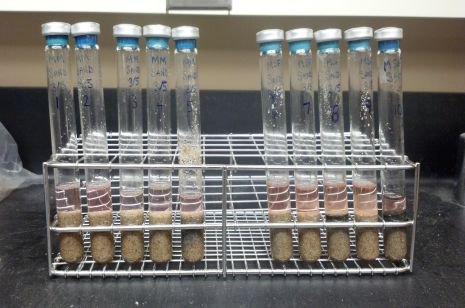 Methanogens contained in these test tubes, which also contained growth nutrients, sand and water, survived when subjected to Martian freeze-thaw cycles.