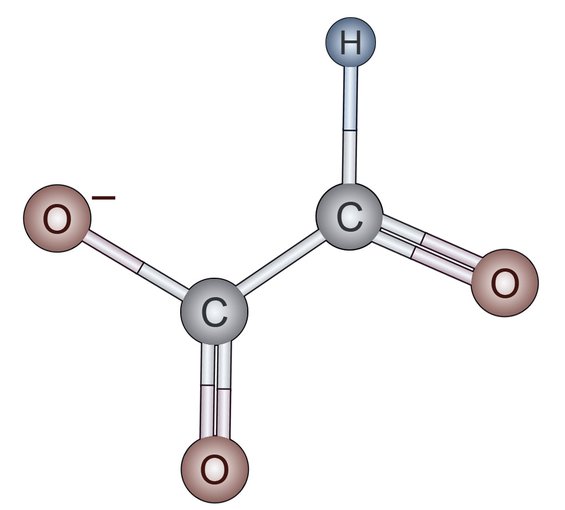 Glyoxylate (C<sub>2</sub>HO<sub>3</sub><sup>-</sup>) 2D structure.