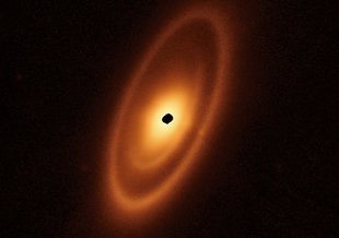 Image shows ovular rings of bright orange dust on a black background. The center of the dusty rings is blacked out to hide the light of the star.