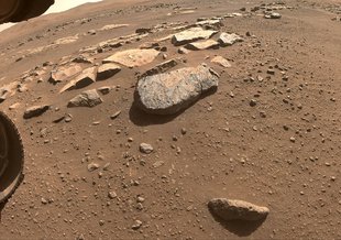 NASA’s Perseverance Mars rover will abrade the rock at the center of this image, allowing scientists and engineers to assess whether it would hold up to the rover’s more powerful sampling drill.