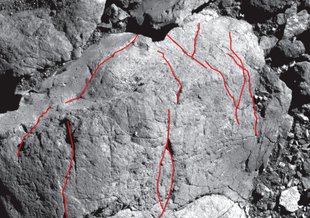 The PolyCam aboard NASA's OSIRIS-REx spacecraft provided high-resolution, microscope-like images of asteroid Bennu’s surface. This made it possible for researchers to map more than 1,500 rock fractures. Fractures are highlighted in red.