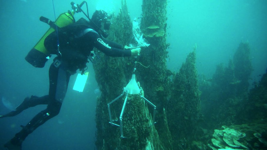 Divers installing a funnel for the collection of hydrothermal fluids at Prony Bay.