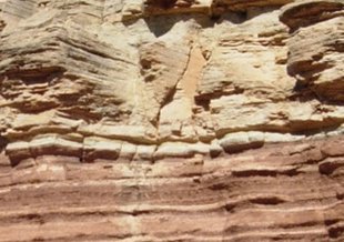 Siltstones (reddish layers at the cliff base) and limestones (brown rocks above) from the Virgin Formation, southwestern Utah, USA.