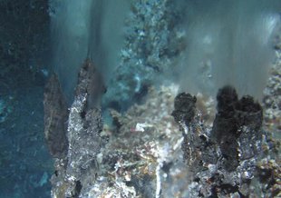 A view of a hydrothermal vent at the Main Endeavour Field on the Juan de Fuca Ridge, snapped from the submersible Alvin.