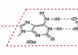Pairing of iso-guanine and methyl-pyrimidinone.