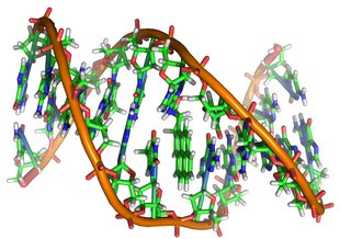 Artist illustration of DNA.