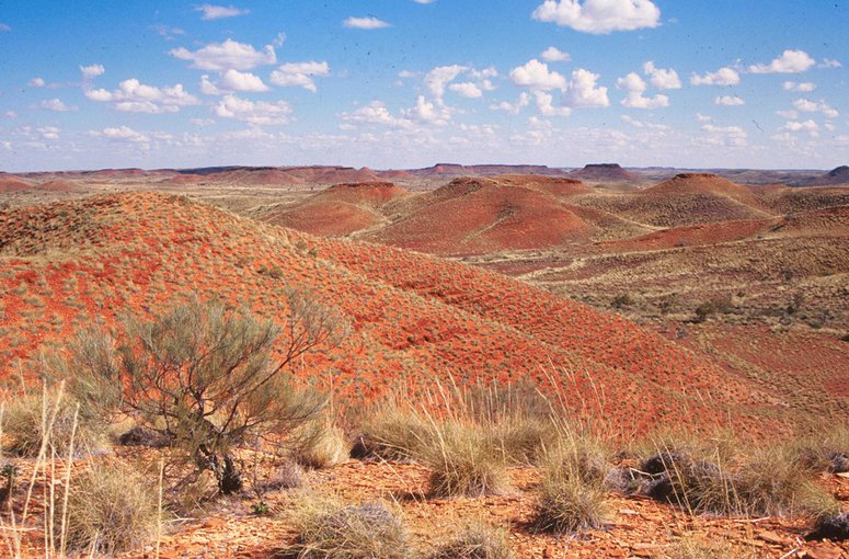 View of Roy Hill from the site of the Jeerinah Formation in Western Australia.