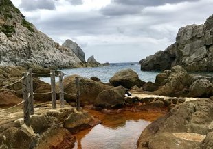 Scalding hot water from an underground thermal spring creates an iron-rich environment similar to what existed on Earth 2.5 billion years ago. (Nerissa Escanlar)