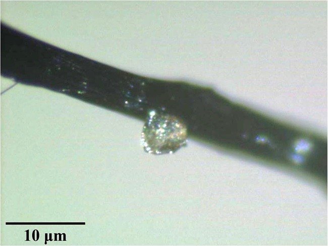 A small hiroseite crystal handpicked from a section of the Suizhou meteorite and used for the X-ray single-crystal diffraction study. The black rod is a carbon fiber which, in turn, is attached to a glass rod that is not visible in the image.