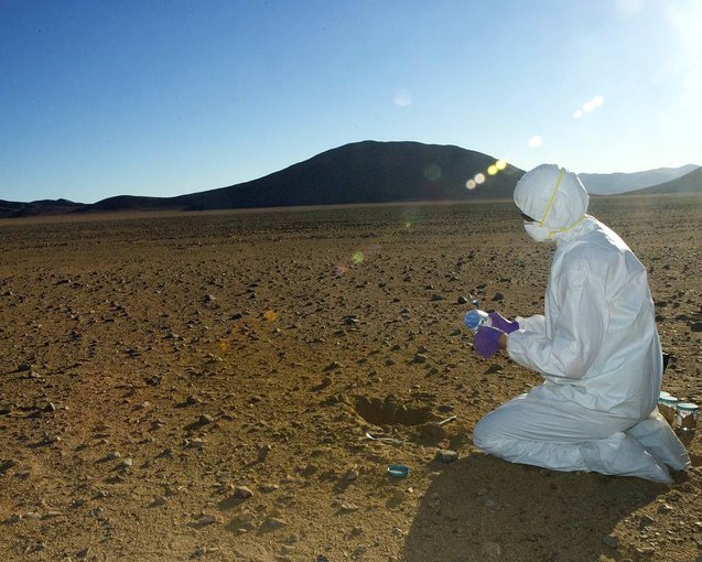 NASA scientist, Mary Beth Wilhelm, collects soil samples of preserved ancient microorganisms in the Atacama Desert.