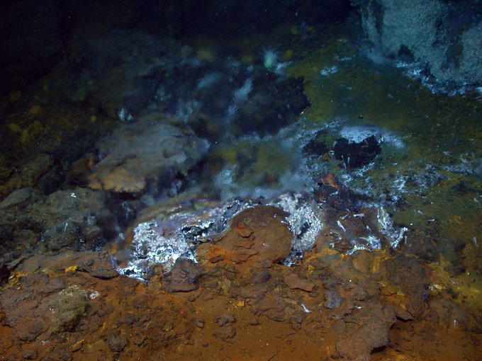 Mixed fluids at the Piccard vent field range in temperature from 44-149°C.  They are formed by subseafloor mixing of cold 5°C seawater and hot 398°C vent fluids represented by the nearby Beebe Vents black smokers.