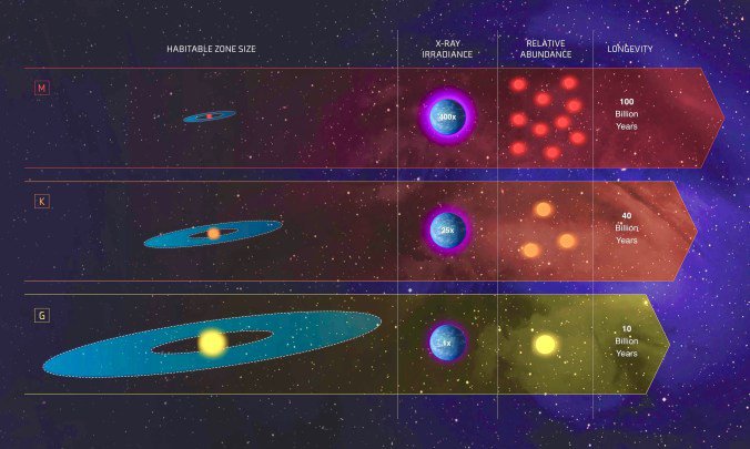 This infographic compares the characteristics of three classes of stars in our galaxy: Sunlike stars are classified as G stars; stars less massive and cooler than our sun are K dwarfs; and even fainter and cooler stars are the reddish M dwarfs.