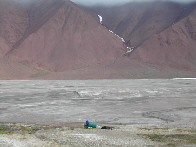 Marilyn Fogel collecting samples at a field site dubbed warm spring.