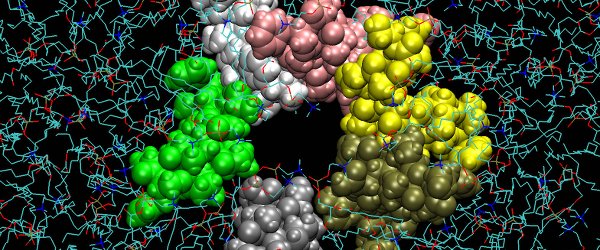 Top view of a channel surrounding a water-filled pore embedded in a membrane. This picture is a snapshot from molecular dynamics computer simulations. Credit: Pohorille et. al., NAI Annual Report 2012