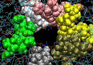 Top view of a channel surrounding a water-filled pore embedded in a membrane. This picture is a snapshot from molecular dynamics computer simulations. Credit: Pohorille et. al., NAI Annual Report 2012
