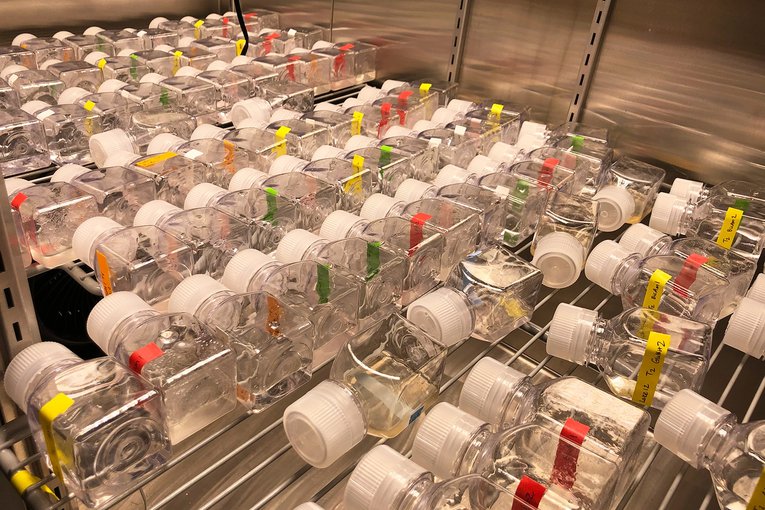 Samples in bottles tipped on their sides fill a wire metal shelf that takes up most of the frame. The bottles are labeled in marker written on yellow, green, or red strips of tape.