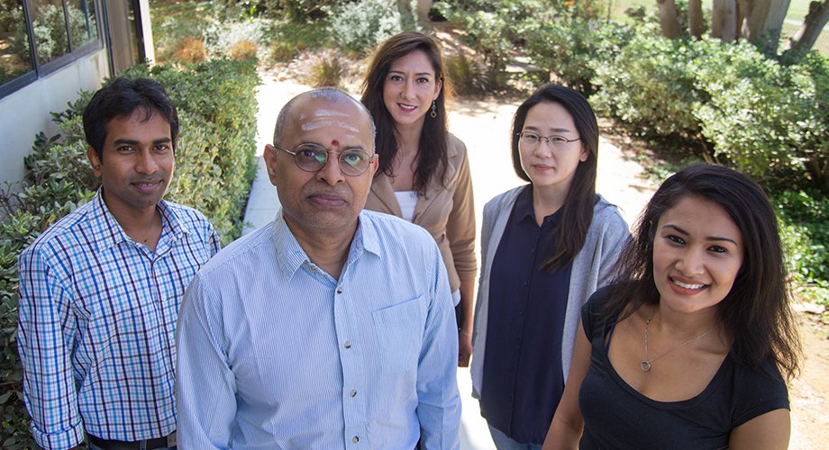 Members of the Krishnamurthy Lab at the Scripps Institute. From left to right: Subhendu Bhowmik, Ramanarayanan Krishnamurthy, Clémentine Gibard, Kim, Eun-Kyong, Megha Karki. Subhendu Bhowmik is the lead author of the paper released this week in Nature.