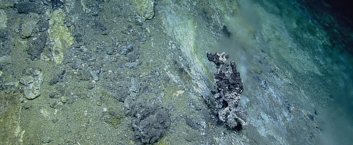 A view of the Apollo Vent Field at the northern Gorda Ridge in the Pacific Ocean.