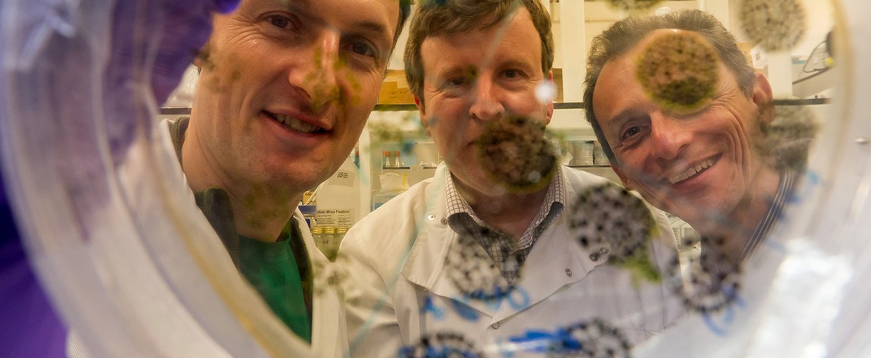 The UK Centre for Astrobiology runs numerous courses, including geology courses for astronauts at the University of Edinburgh, UK. Pictured here are ESA astronauts Pedro Duque (right) and Matthias Maurer (left) with Charles Cockell (centre).
