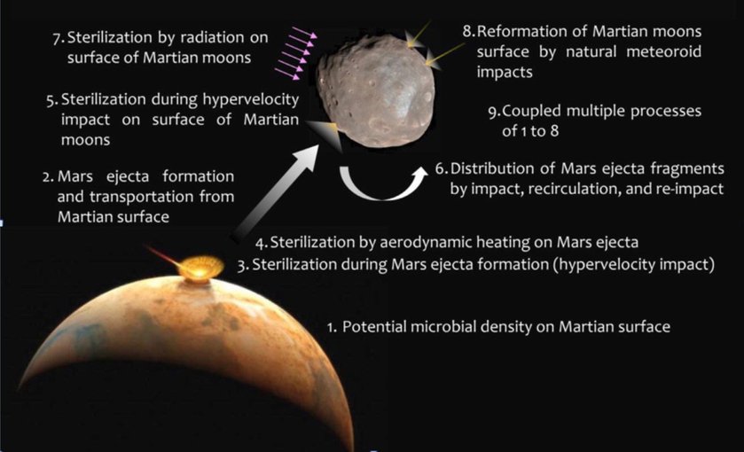 The various steps of Martian material transferred to Phobos (and inferred for Deimos).