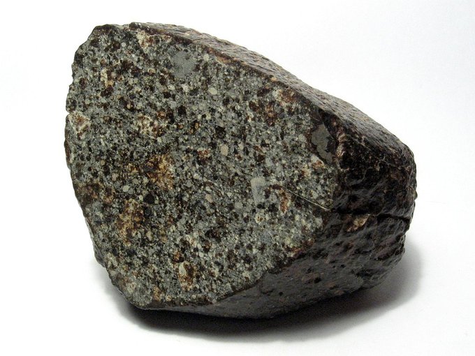 A 700g individual of the NWA 869 meteorite. Chondrules and metal flakes can be seen on the cut and polished face of this specimen.