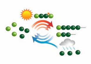 "Fresh monomers were fed to the polymer/monomer mixture periodically by an automated “day–night machine” that was designed to simulate wet–dry cycles that would have been common on the prebiotic Earth."