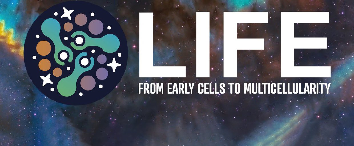 The LIFE logo which is a circular image with simple representations of cells under a microscope to the left and LIFE: From Early Cells to Multicellularity at the right. The backdrop is a colorful NASA image of a nebula in space.