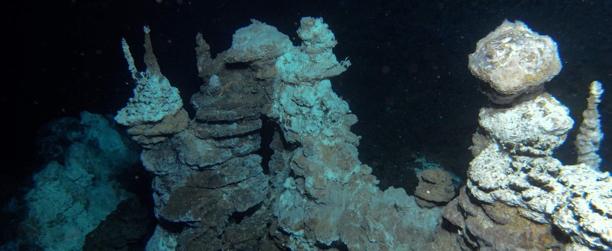 The field of hydrothermal vents known as Loki’s Castle, in the North Atlantic Ocean, where scientists found archaea believed to be related to the archaea that created eukaryotes through endosymbiosis with bacteria.