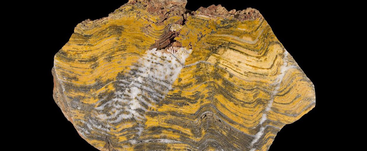 A fossil stromatolite, with clear laminations, from Strelley Pool in Western Australia.