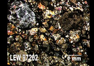 This thin section from the meteorite LEW 97202 exhibits numerous well-defined chondrules (up to 2 mm) in a black matrix of fine-grained silicates, metal and troilite.