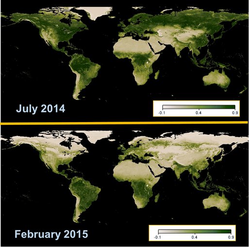 These vegetation maps were generated from MODIS/Terra measurements of the Normalized Difference Vegetation Index (NDVI). Significant seasonal variations in the NDVI are apparent between northern hemisphere summer  and winter.