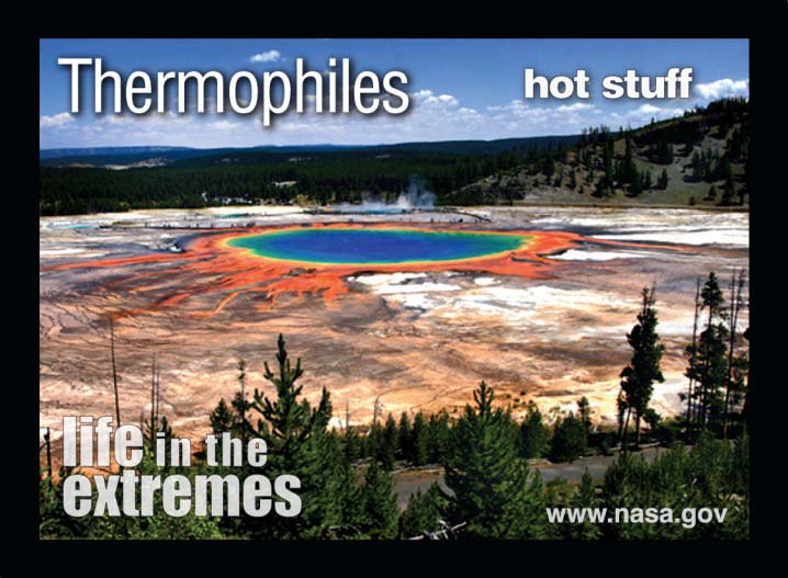 Thermophiles have developed special proteins that allow them to tolerate a broad range of temperatures – some even require temperatures around 140°F to exist at all.