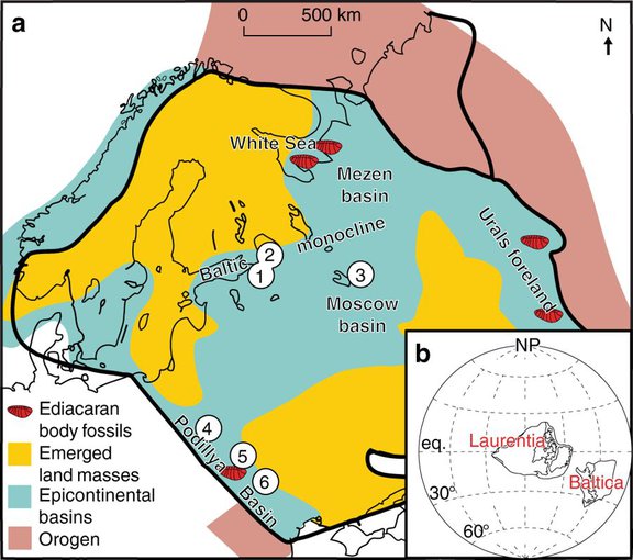 Paleogeography and known Ediacara biota fossil occurrences across Baltica. (a) Paleogeographic reconstruction of Baltica during the late Ediacaran with studied drill cores and outcrops shown. (b) Global reconstruction of Laurentia and Baltica at ~550 Ma.