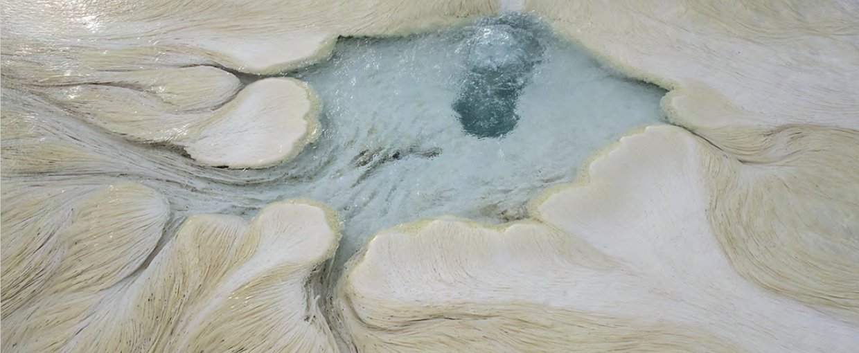 Image from <i>The Art of Yellowstone Science</i>. Credit: Tom Murphy. 