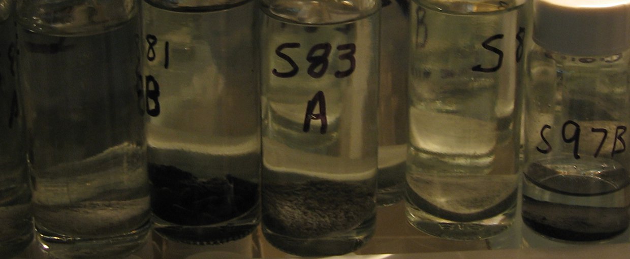 Preserved samples from the Chesapeake Bay Impact Structure (CBIS) used for biological studies.