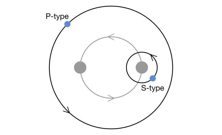 Diagram showing binary star system with “P-type” planets (which orbit both stars) and “S type” (which orbit only one star.